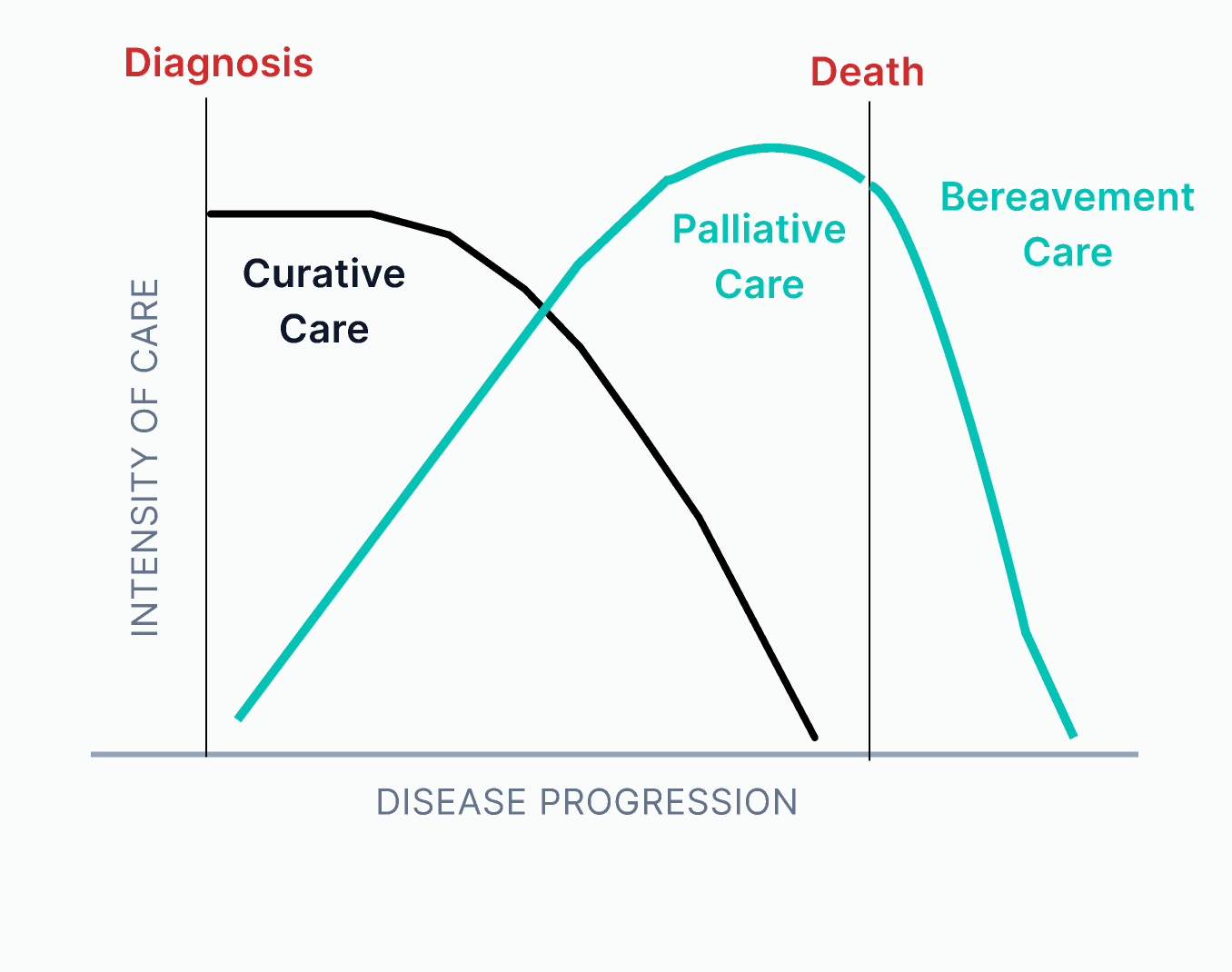 Palliative Care in Singapore - Speedoc (SG)